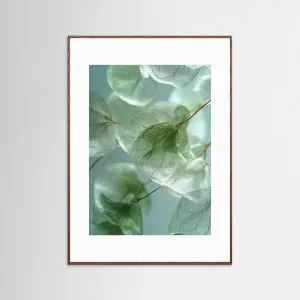 Foglie di eucalipto: poster che evoca la calma della natura, in diverse tonalità di verde.