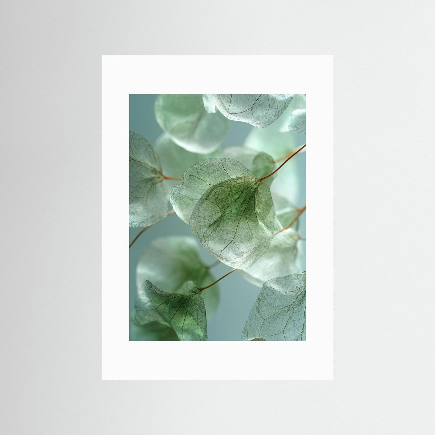 Foglie di eucalipto: poster che evoca la calma della natura, in diverse tonalità di verde.