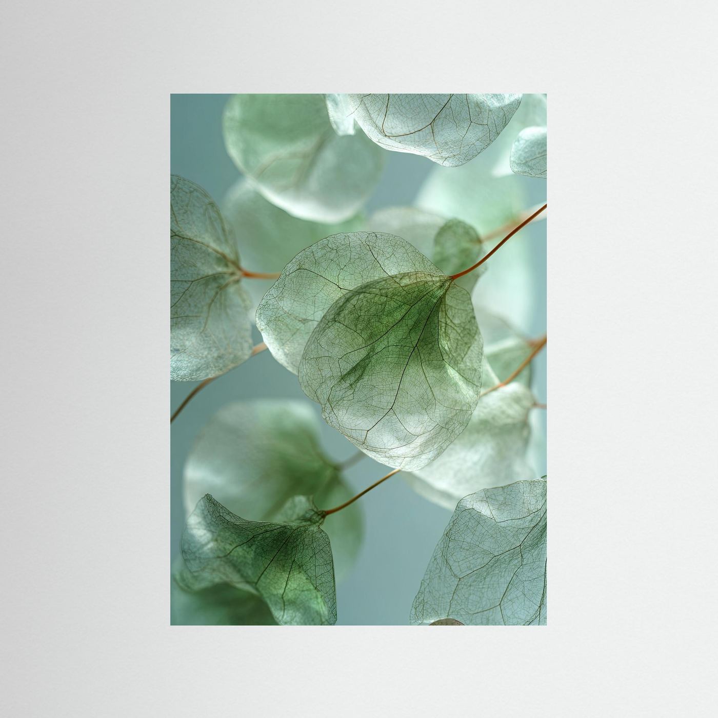 Foglie di eucalipto: poster che evoca la calma della natura, in diverse tonalità di verde.